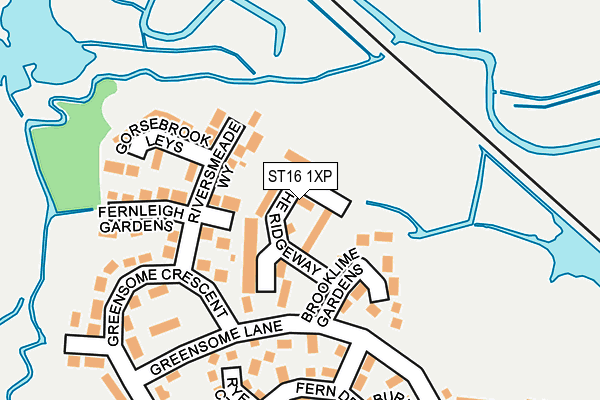 ST16 1XP map - OS OpenMap – Local (Ordnance Survey)