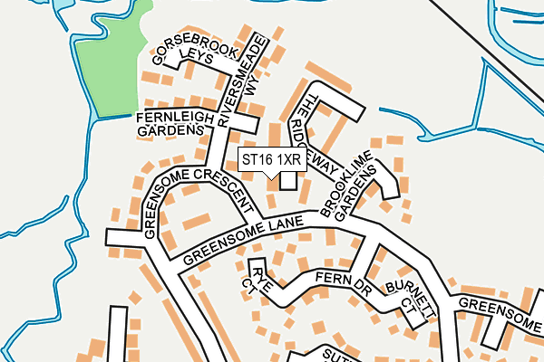 ST16 1XR map - OS OpenMap – Local (Ordnance Survey)