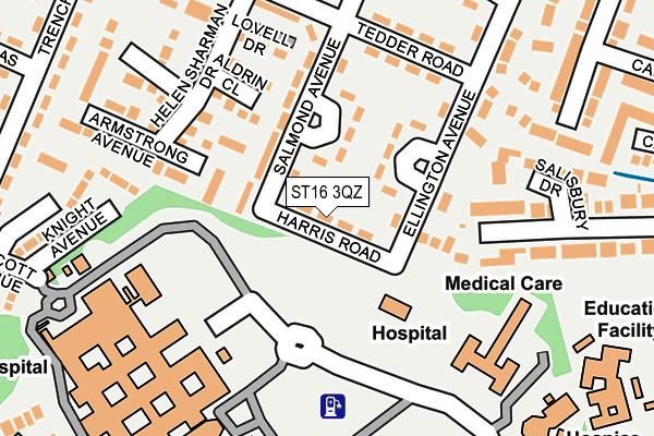 ST16 3QZ map - OS OpenMap – Local (Ordnance Survey)