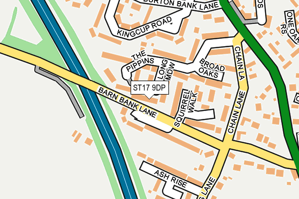 ST17 9DP map - OS OpenMap – Local (Ordnance Survey)