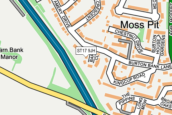 ST17 9JH map - OS OpenMap – Local (Ordnance Survey)