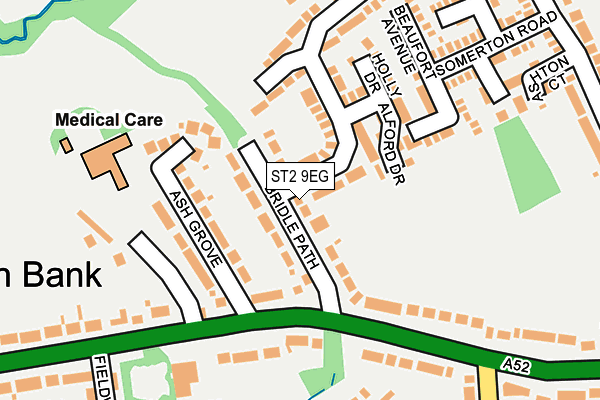 ST2 9EG map - OS OpenMap – Local (Ordnance Survey)