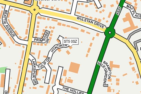 ST5 0SZ map - OS OpenMap – Local (Ordnance Survey)