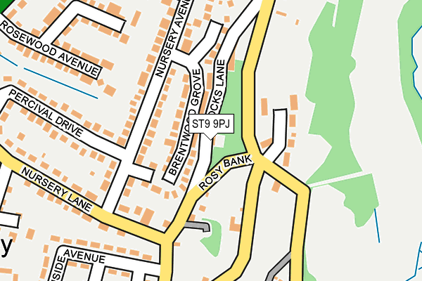 ST9 9PJ map - OS OpenMap – Local (Ordnance Survey)