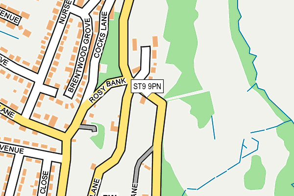 ST9 9PN map - OS OpenMap – Local (Ordnance Survey)