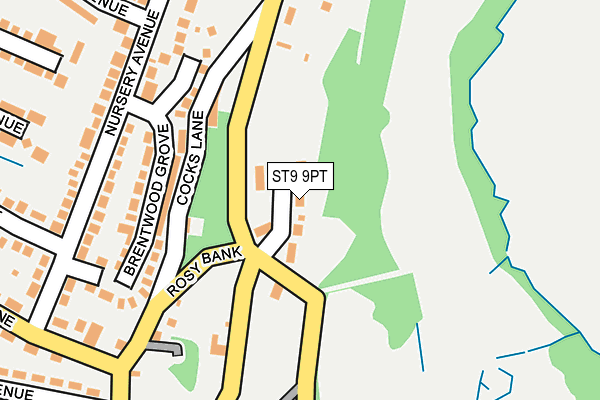 ST9 9PT map - OS OpenMap – Local (Ordnance Survey)