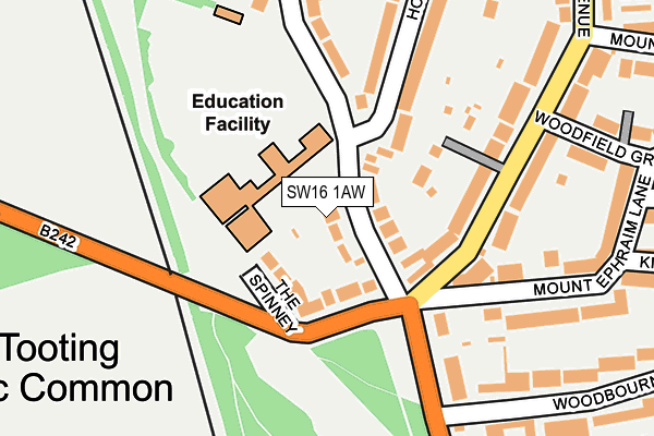 SW16 1AW map - OS OpenMap – Local (Ordnance Survey)