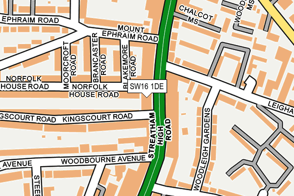 SW16 1DE map - OS OpenMap – Local (Ordnance Survey)