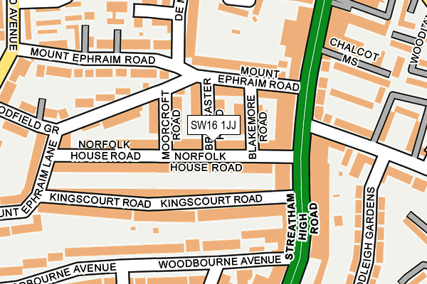 SW16 1JJ map - OS OpenMap – Local (Ordnance Survey)