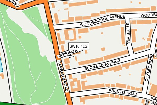 SW16 1LS map - OS OpenMap – Local (Ordnance Survey)