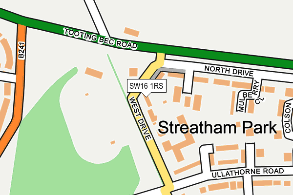 SW16 1RS map - OS OpenMap – Local (Ordnance Survey)