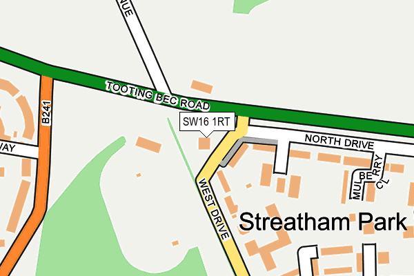 SW16 1RT map - OS OpenMap – Local (Ordnance Survey)