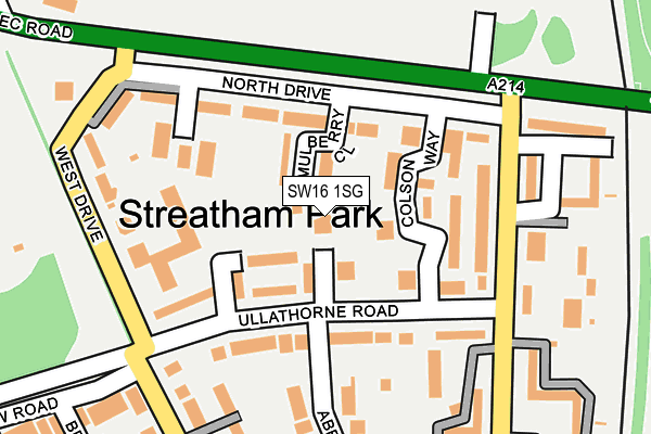 SW16 1SG map - OS OpenMap – Local (Ordnance Survey)