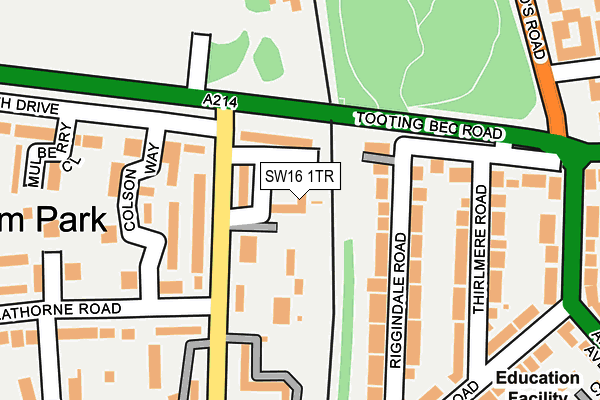 SW16 1TR map - OS OpenMap – Local (Ordnance Survey)