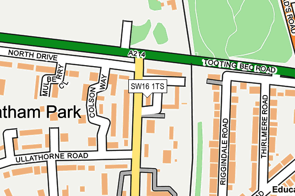 SW16 1TS map - OS OpenMap – Local (Ordnance Survey)