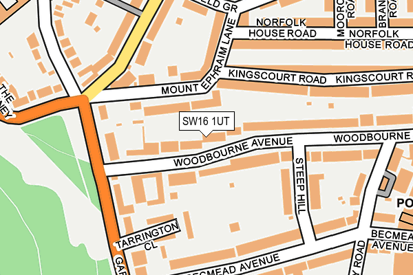 SW16 1UT map - OS OpenMap – Local (Ordnance Survey)