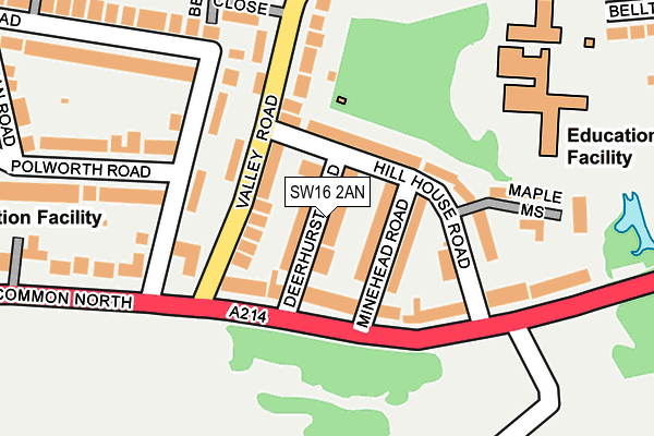 SW16 2AN map - OS OpenMap – Local (Ordnance Survey)