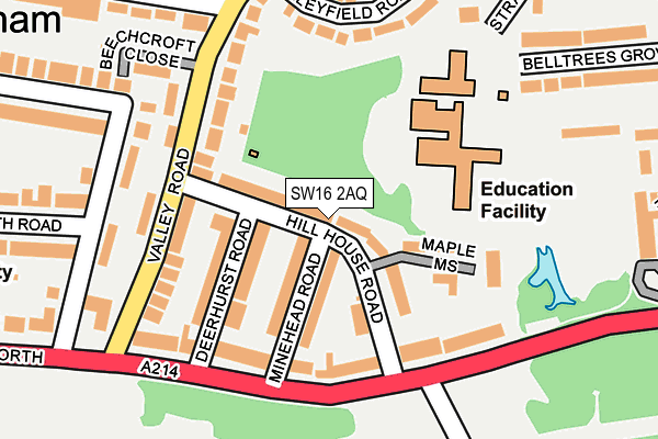 SW16 2AQ map - OS OpenMap – Local (Ordnance Survey)