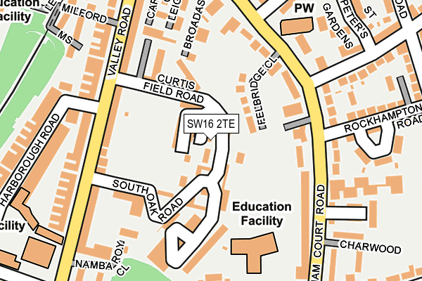 SW16 2TE map - OS OpenMap – Local (Ordnance Survey)