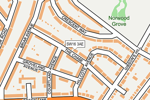 SW16 3AE map - OS OpenMap – Local (Ordnance Survey)