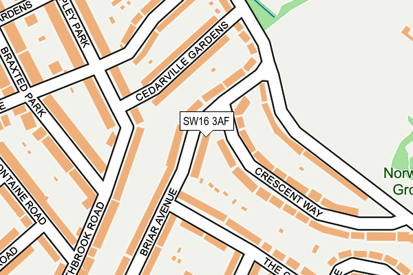 SW16 3AF map - OS OpenMap – Local (Ordnance Survey)