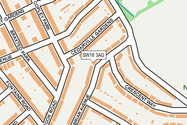 SW16 3AG map - OS OpenMap – Local (Ordnance Survey)