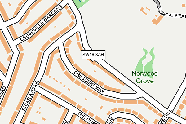 SW16 3AH map - OS OpenMap – Local (Ordnance Survey)