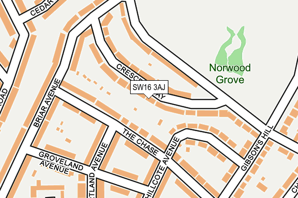 SW16 3AJ map - OS OpenMap – Local (Ordnance Survey)