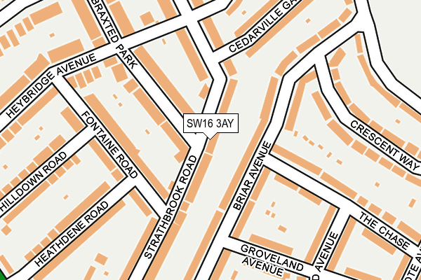 SW16 3AY map - OS OpenMap – Local (Ordnance Survey)