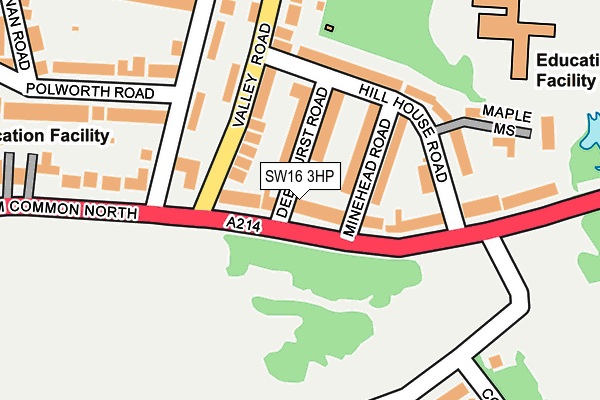 SW16 3HP map - OS OpenMap – Local (Ordnance Survey)