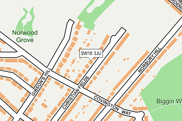SW16 3JU map - OS OpenMap – Local (Ordnance Survey)