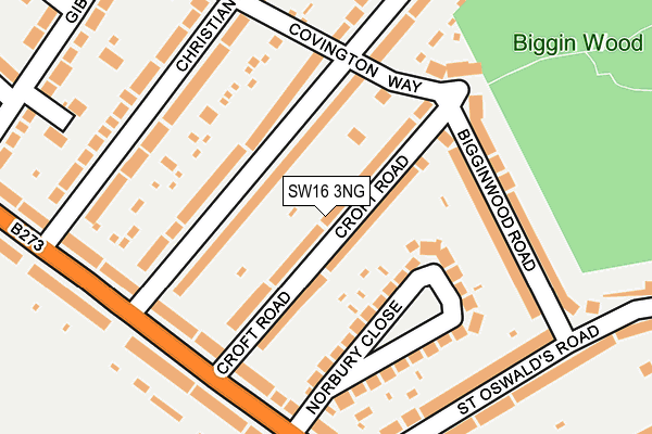 SW16 3NG map - OS OpenMap – Local (Ordnance Survey)