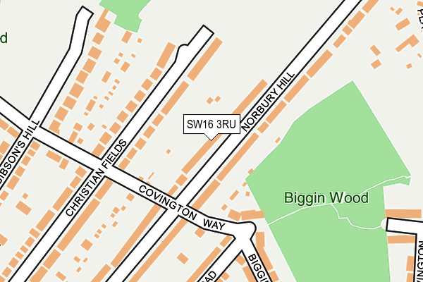 SW16 3RU map - OS OpenMap – Local (Ordnance Survey)
