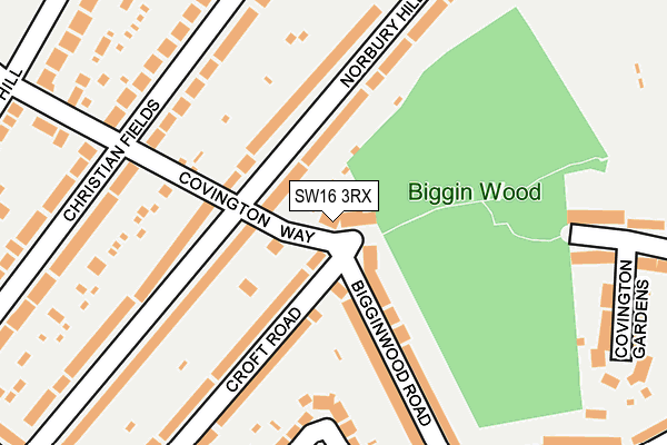 SW16 3RX map - OS OpenMap – Local (Ordnance Survey)