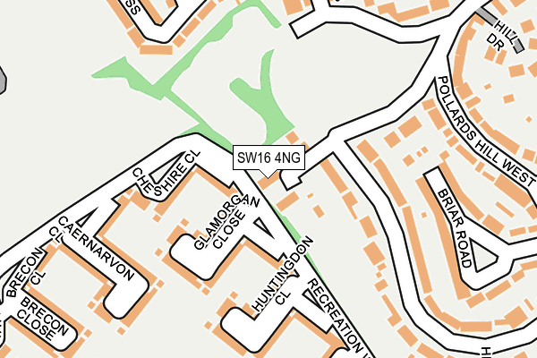 SW16 4NG map - OS OpenMap – Local (Ordnance Survey)