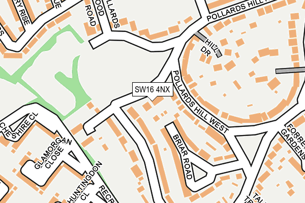 SW16 4NX map - OS OpenMap – Local (Ordnance Survey)