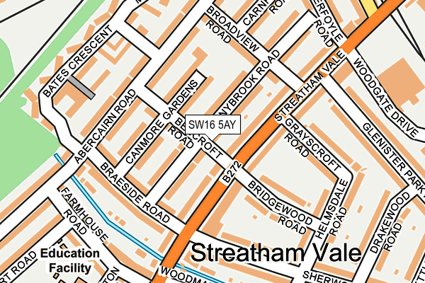 SW16 5AY map - OS OpenMap – Local (Ordnance Survey)