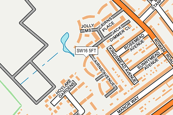 SW16 5FT map - OS OpenMap – Local (Ordnance Survey)