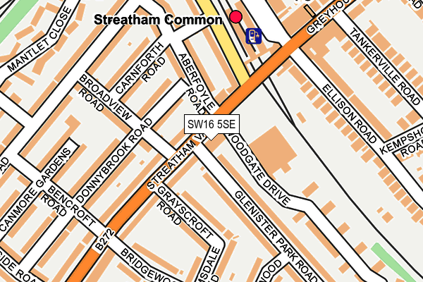 SW16 5SE map - OS OpenMap – Local (Ordnance Survey)