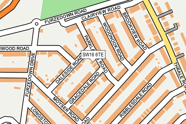 SW16 6TE map - OS OpenMap – Local (Ordnance Survey)