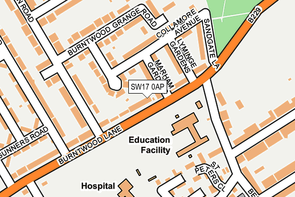 SW17 0AP map - OS OpenMap – Local (Ordnance Survey)