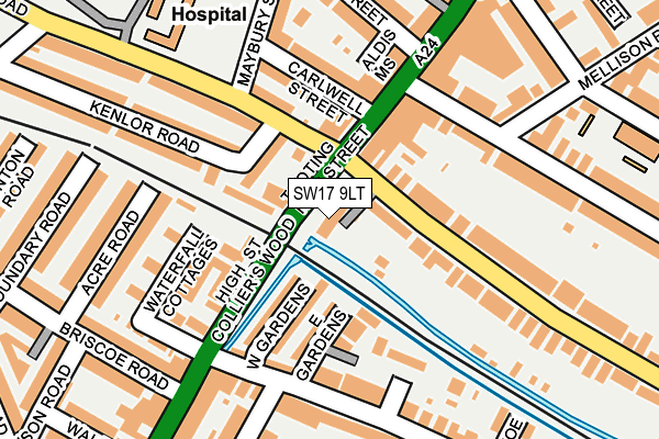 SW17 9LT map - OS OpenMap – Local (Ordnance Survey)