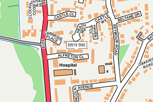 SW19 5NS map - OS OpenMap – Local (Ordnance Survey)