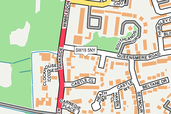 SW19 5NY map - OS OpenMap – Local (Ordnance Survey)