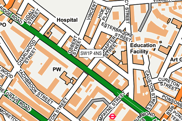 SW1P 4NS map - OS OpenMap – Local (Ordnance Survey)