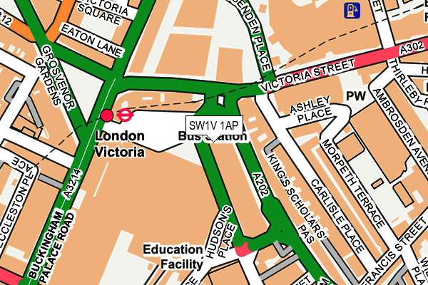 SW1V 1AP map - OS OpenMap – Local (Ordnance Survey)