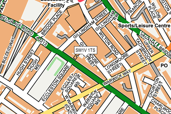 SW1V 1TS map - OS OpenMap – Local (Ordnance Survey)