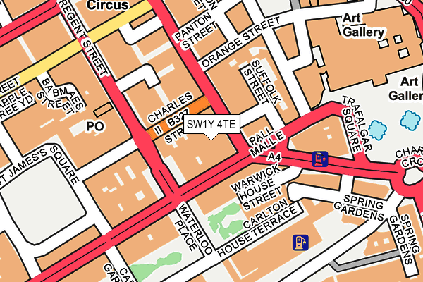 SW1Y 4TE map - OS OpenMap – Local (Ordnance Survey)