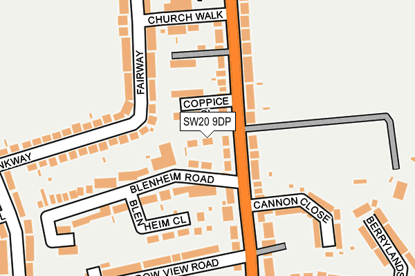 SW20 9DP map - OS OpenMap – Local (Ordnance Survey)