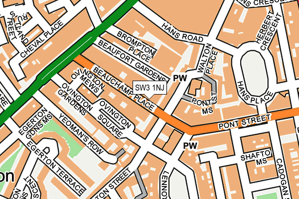 SW3 1NJ map - OS OpenMap – Local (Ordnance Survey)